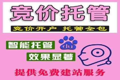 案例解析：专业竞价推广代运营团队实操